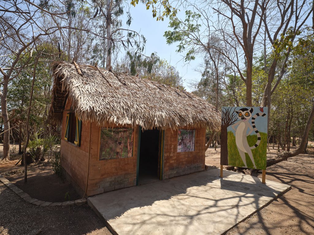 Maison des lémuriens